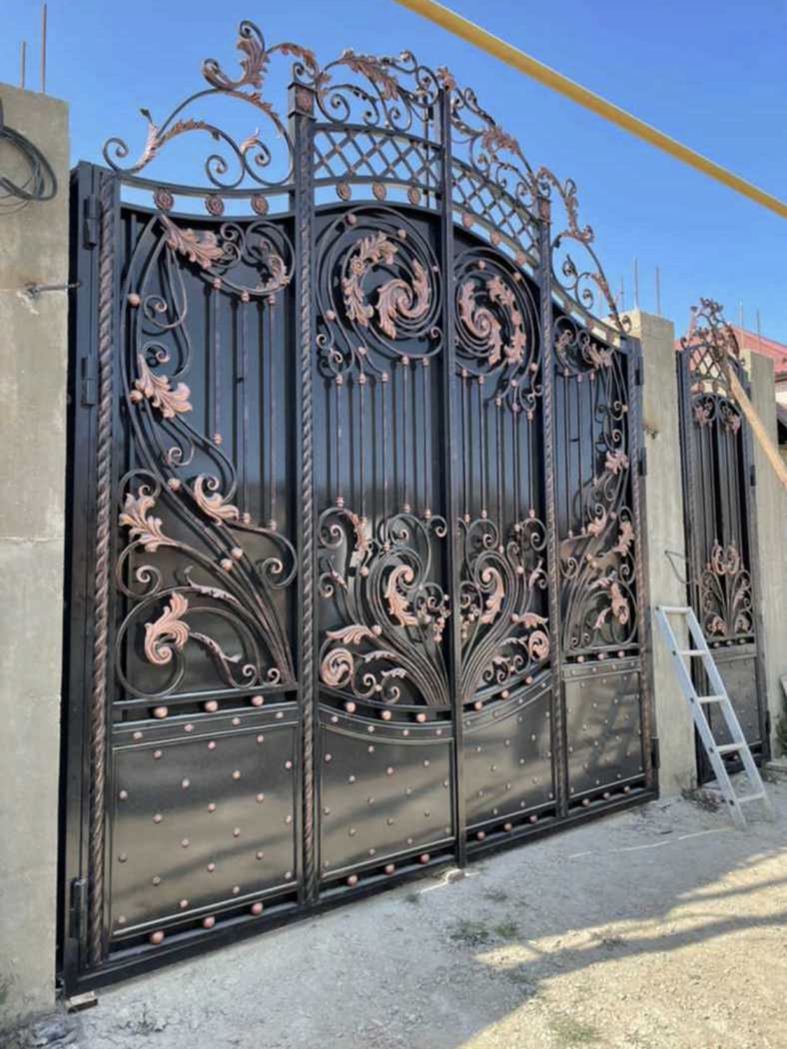 Ворота 1169 №1 фото